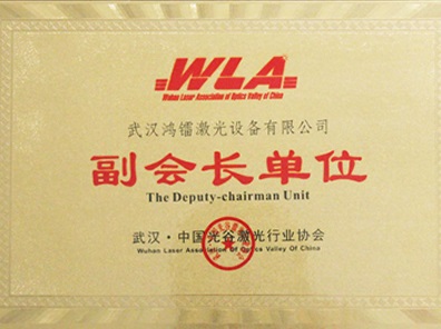 中國(guó)光谷激光行業(yè)協(xié)會(huì)副會(huì)長(zhǎng)單位
